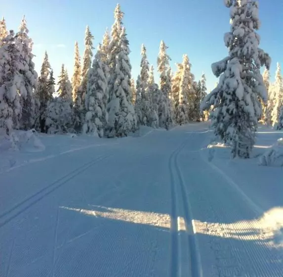 Koselig Hytte Ved Skiheis, Langrennspor, Akebakke Og Har 4 Soverom, 2 Bad, Badstue Og Fiber Bredbånd