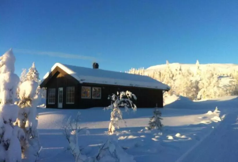 Koselig Hytte Ved Skiheis, Langrennspor, Akebakke Og Har 4 Soverom, 2 Bad, Badstue Og Fiber Bredbånd