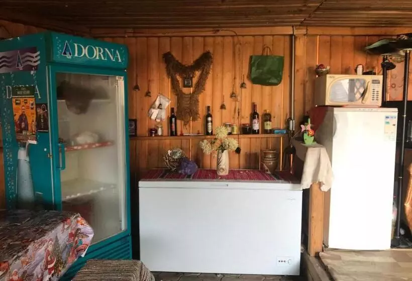 ペンション La Rita Acasă