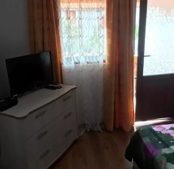 ペンション La Rita Acasă