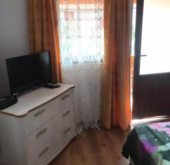 ペンション La Rita Acasă
