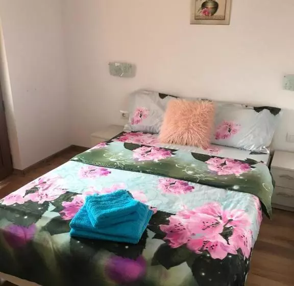 ペンション La Rita Acasă