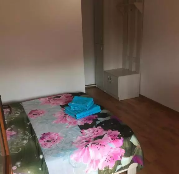 ペンション La Rita Acasă