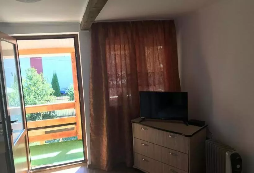 ペンション La Rita Acasă