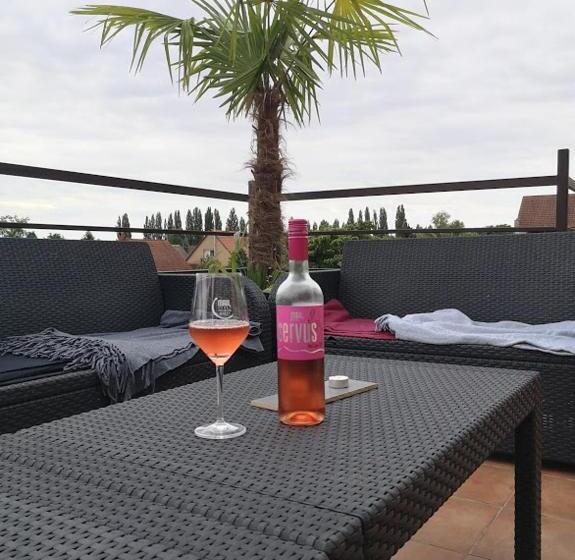 بنسيون Rozé Vendégház