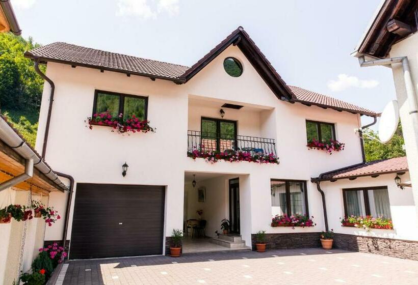 Пансион Vila Rodica Transalpina