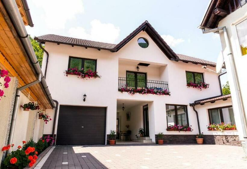 Пансион Vila Rodica Transalpina
