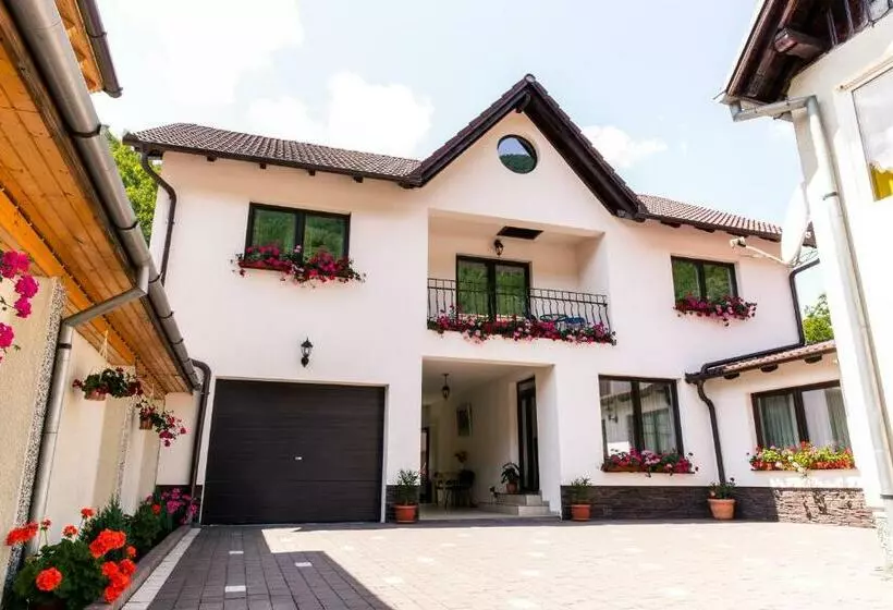 Majatalo Vila Rodica Transalpina