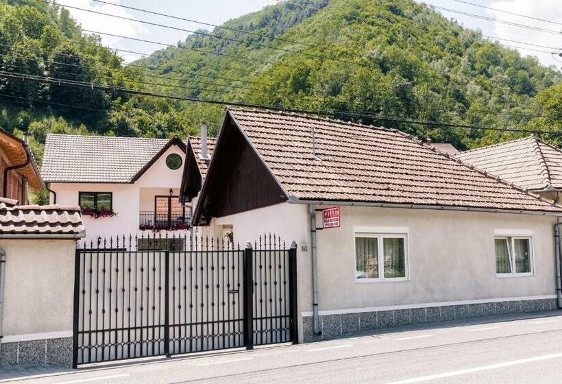 Пансион Vila Rodica Transalpina