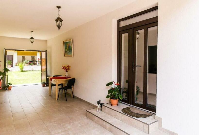 Пансион Vila Rodica Transalpina