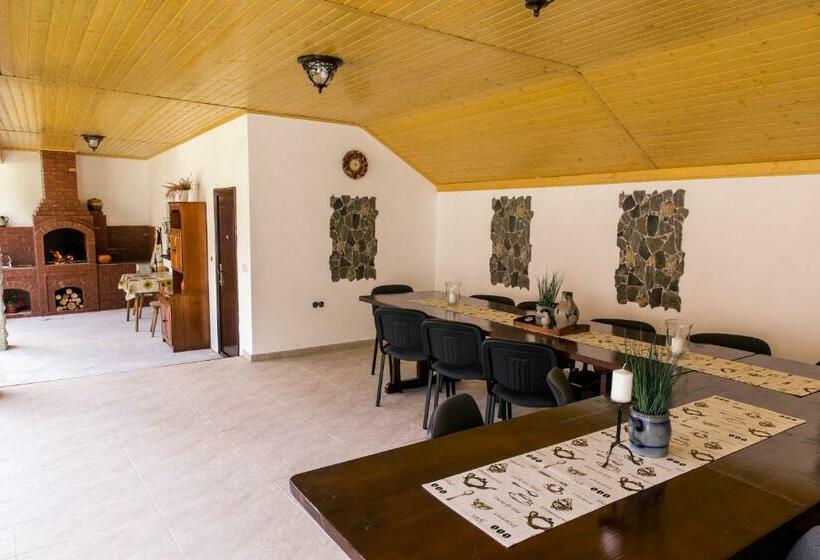 Пансион Vila Rodica Transalpina