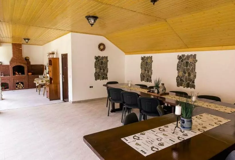 Majatalo Vila Rodica Transalpina