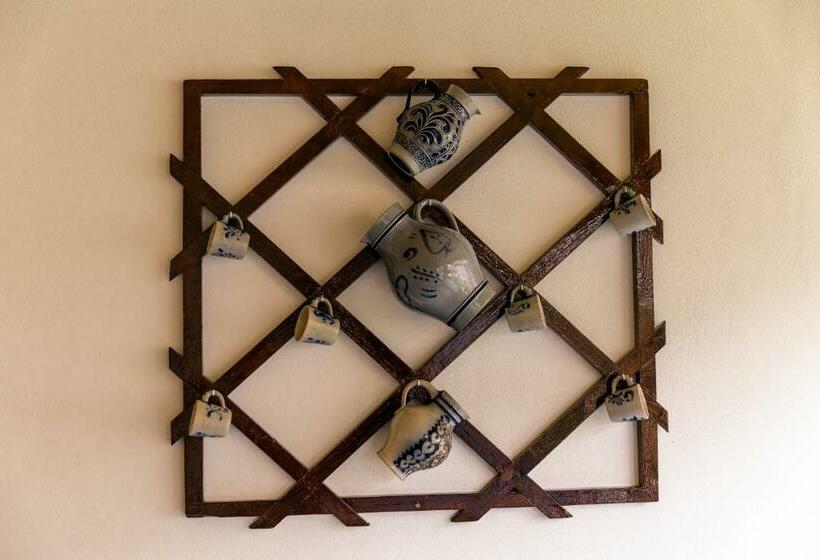 Пансион Vila Rodica Transalpina