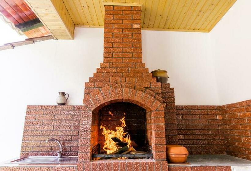 Пансион Vila Rodica Transalpina