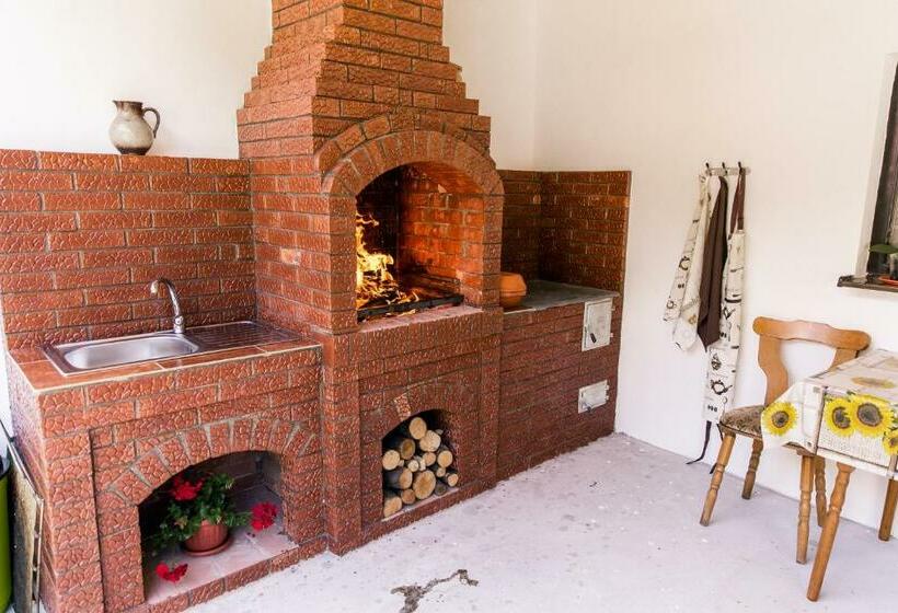 Пансион Vila Rodica Transalpina