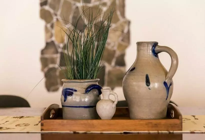 Majatalo Vila Rodica Transalpina