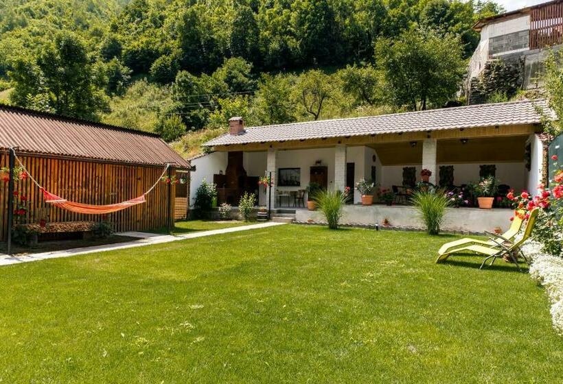 Пансион Vila Rodica Transalpina