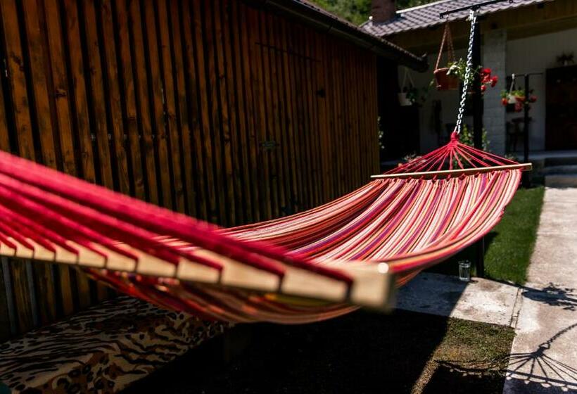 Пансион Vila Rodica Transalpina