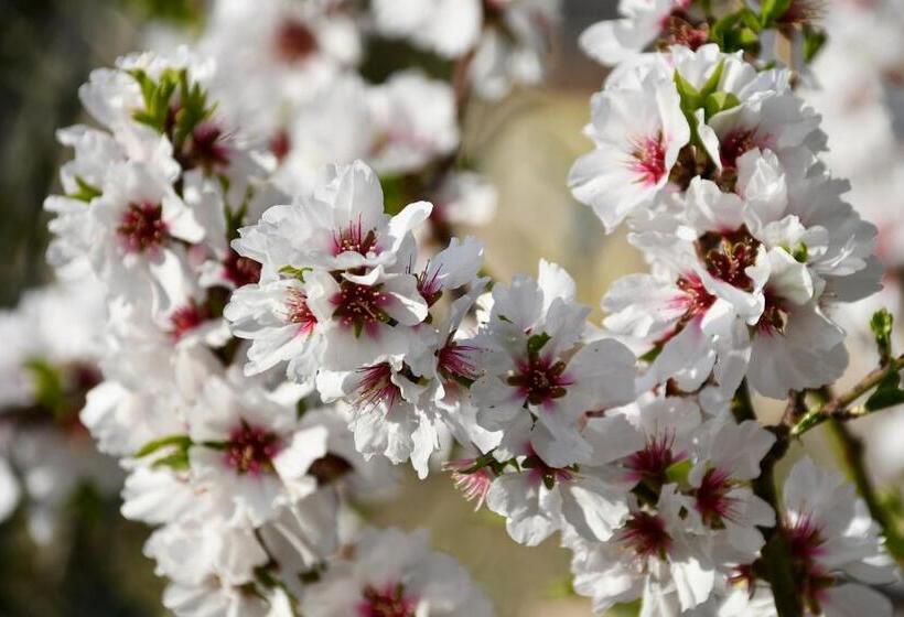 Bed and Breakfast Casa Romero