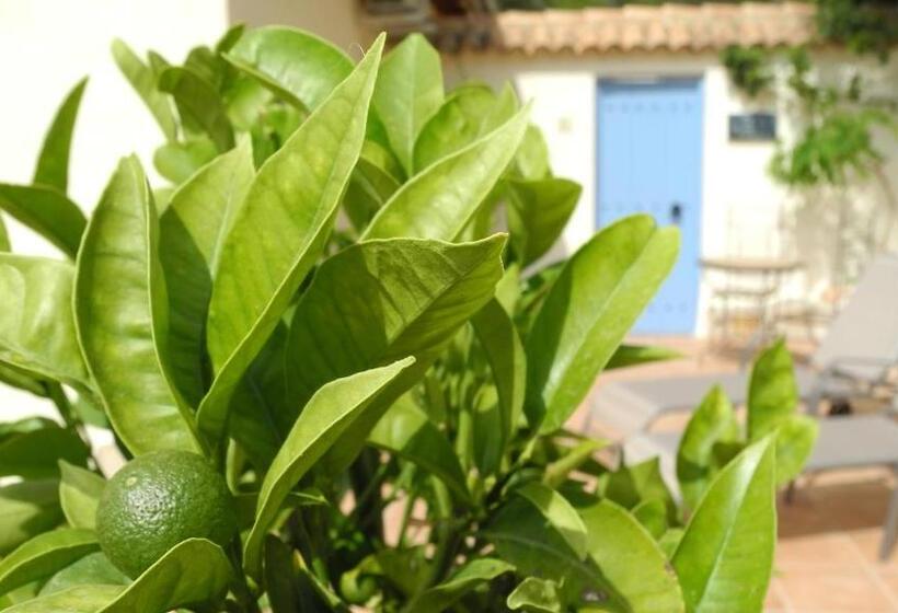 Bed and Breakfast Casa Romero