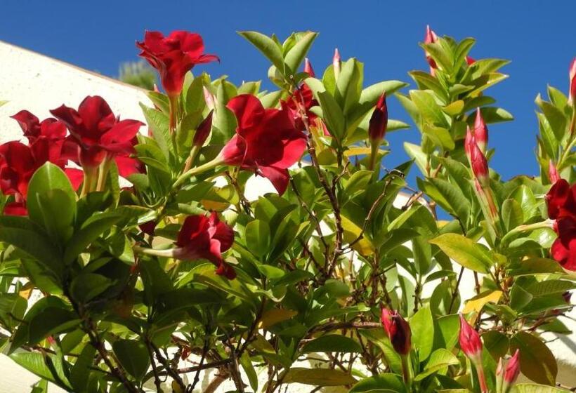 Bed and Breakfast Casa Romero