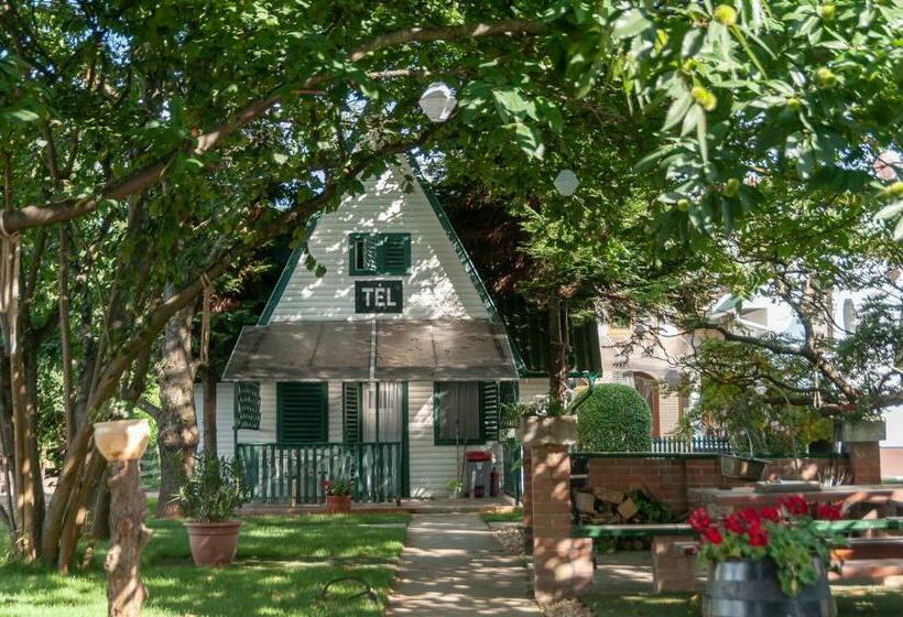 住宿加早餐  Tiszavirág Panzió és üdülőközpont