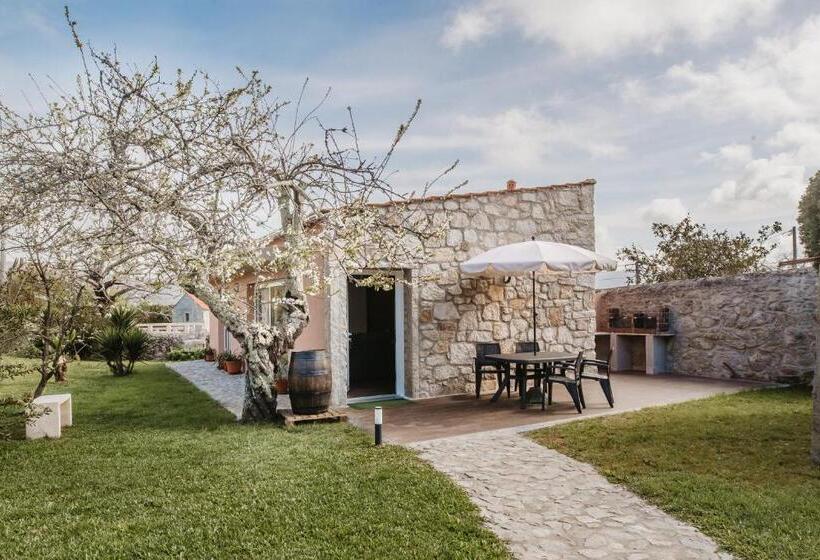 Forno House Ameixoeira