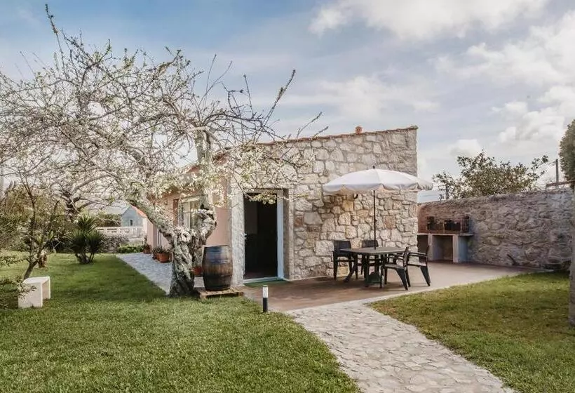 Forno House   Ameixoeira