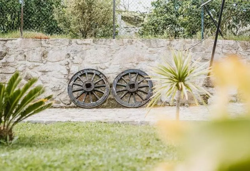 Forno House   Ameixoeira