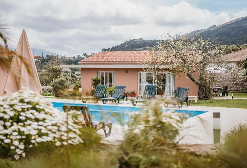 Forno House Ameixoeira