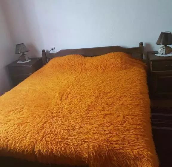 Majatalo тодорината къща