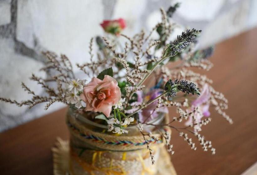 Pensione тодорината къща