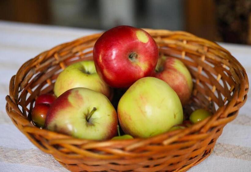 Pensione тодорината къща