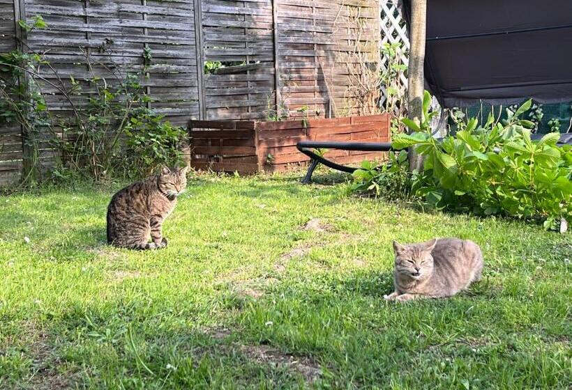 펜션 Széplak Apartman