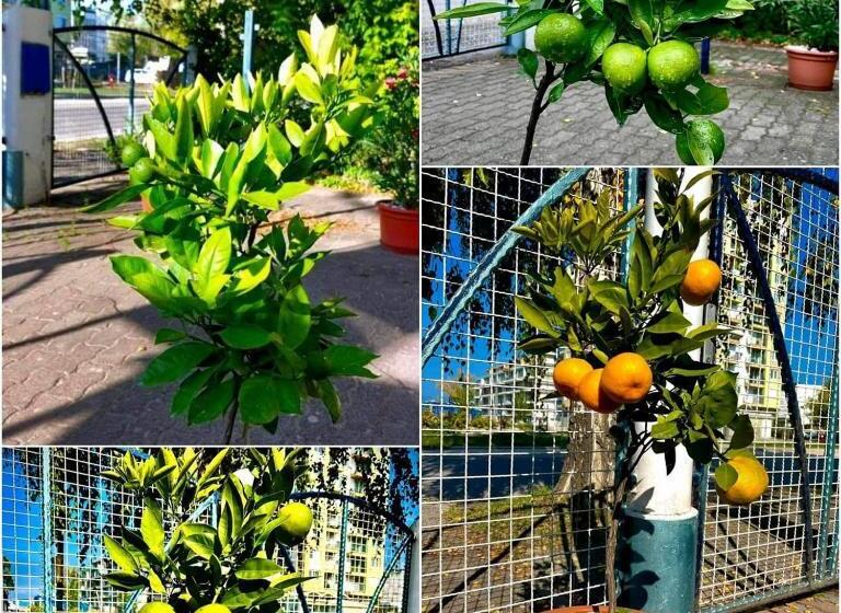 펜션 Széplak Apartman