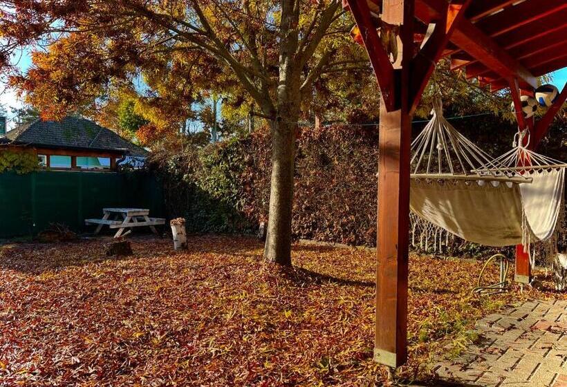 펜션 Széplak Apartman