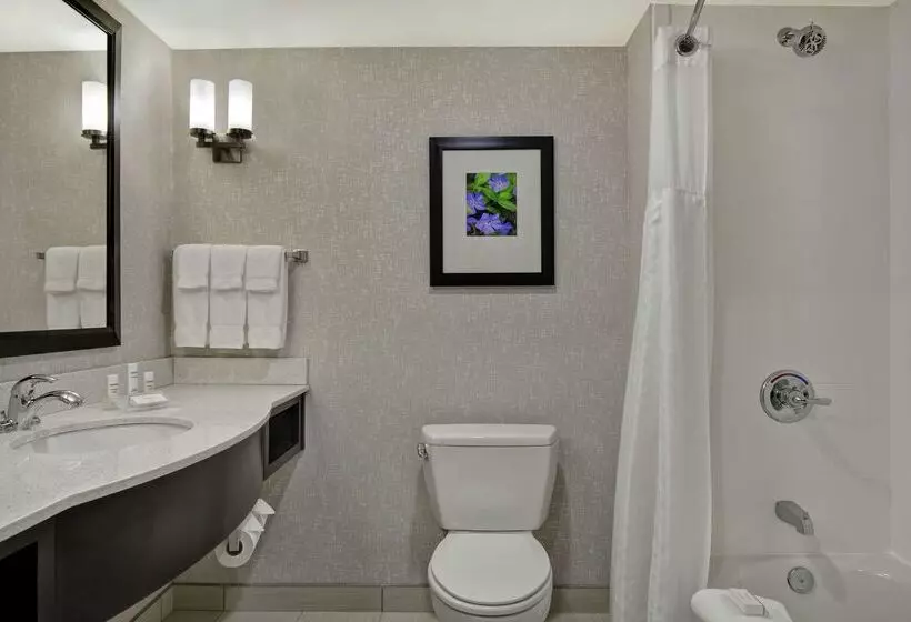 בית מלון כפרי Hilton Garden Inn Fayettevile