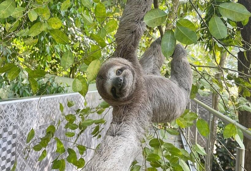 Makanda By The Sea Hotel Adults Only