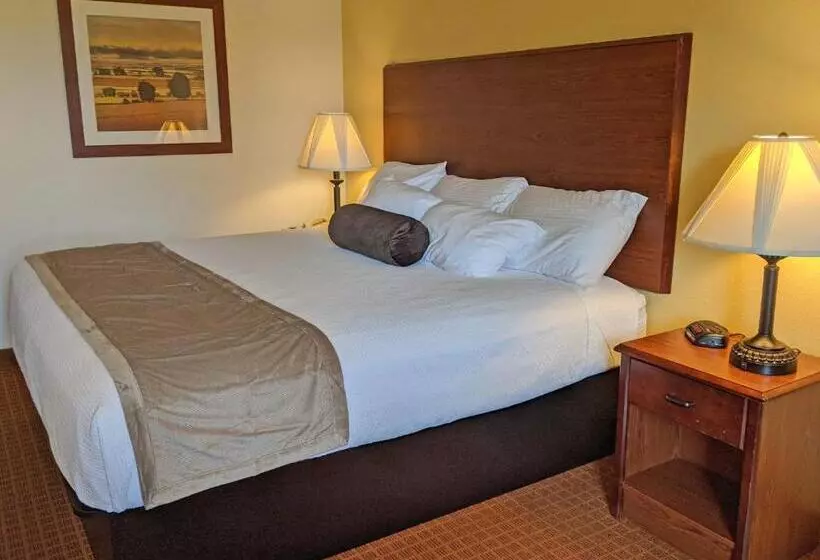 Hôtel Park View Inn & Suites