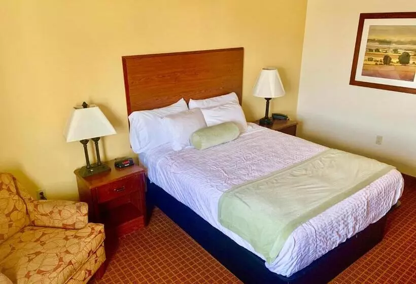 Hôtel Park View Inn & Suites