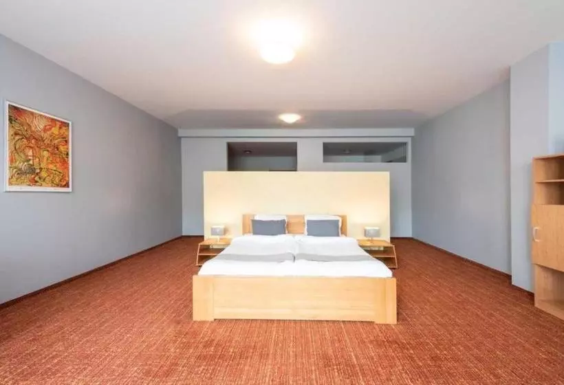 هتل Wellness  Orion