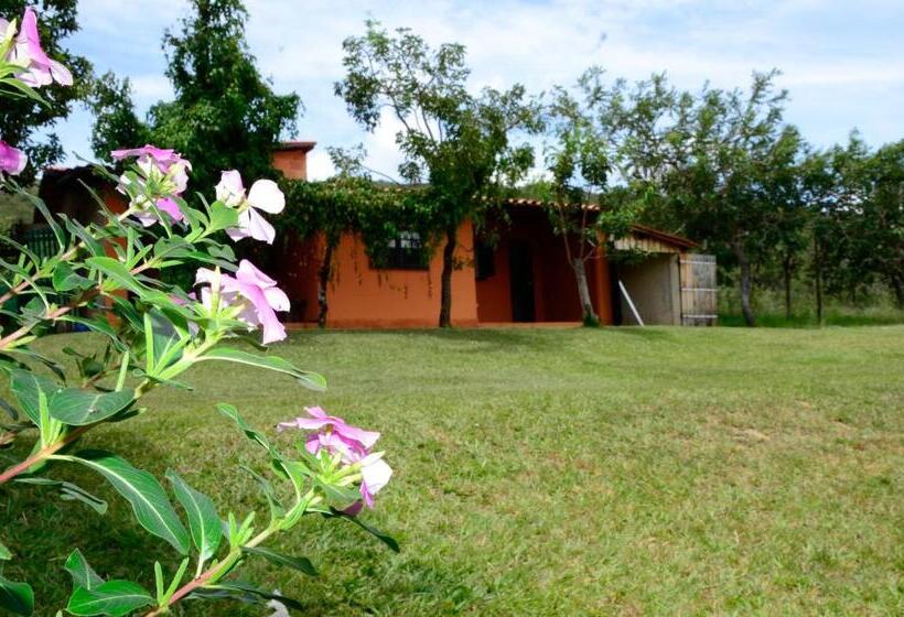 فندق صغير Pousada Recanto Do Sossego