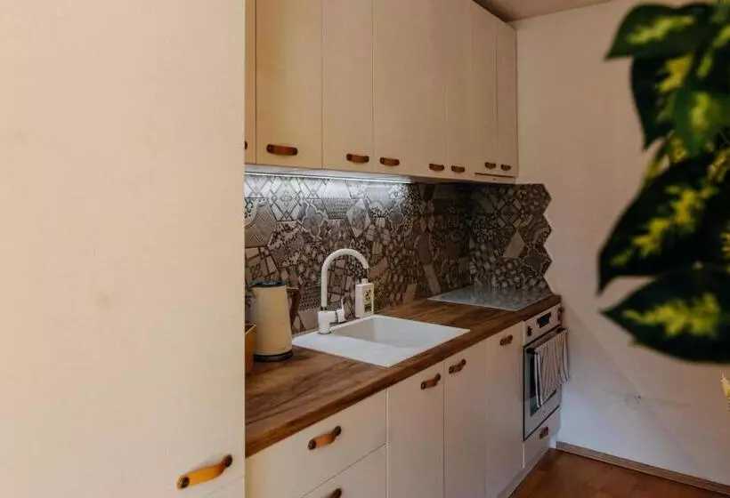 Apartmán V Srdci Znojma „jako Doma“