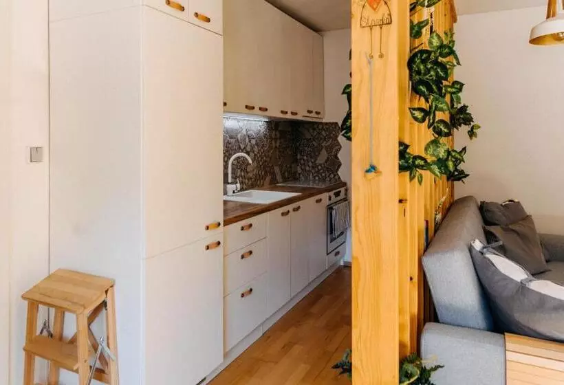 Apartmán V Srdci Znojma „jako Doma“