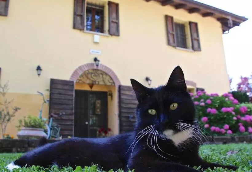 Aamiaismajoitus (B&B) Casale La Decima