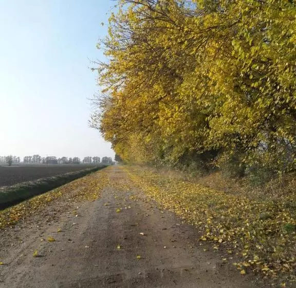 Aamiaismajoitus (B&B) Casale La Decima