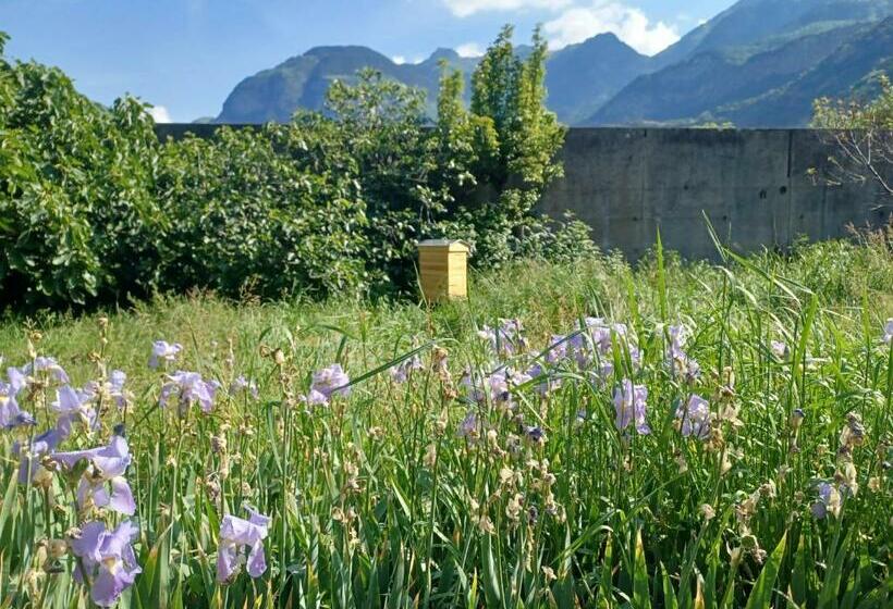 Bed and Breakfast Chalet Les Cols   Chambres Avec Terrasse & Jardin   Proche De La Nouvelle Gare
