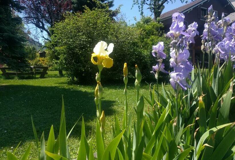 Bed and Breakfast Chalet Les Cols   Chambres Avec Terrasse & Jardin   Proche De La Nouvelle Gare