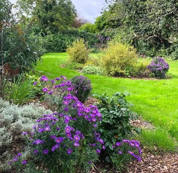 ベッドアンドブレックファースト Dingle Garden Townhouse