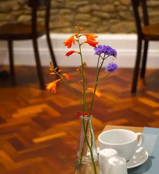 ベッドアンドブレックファースト Dingle Garden Townhouse